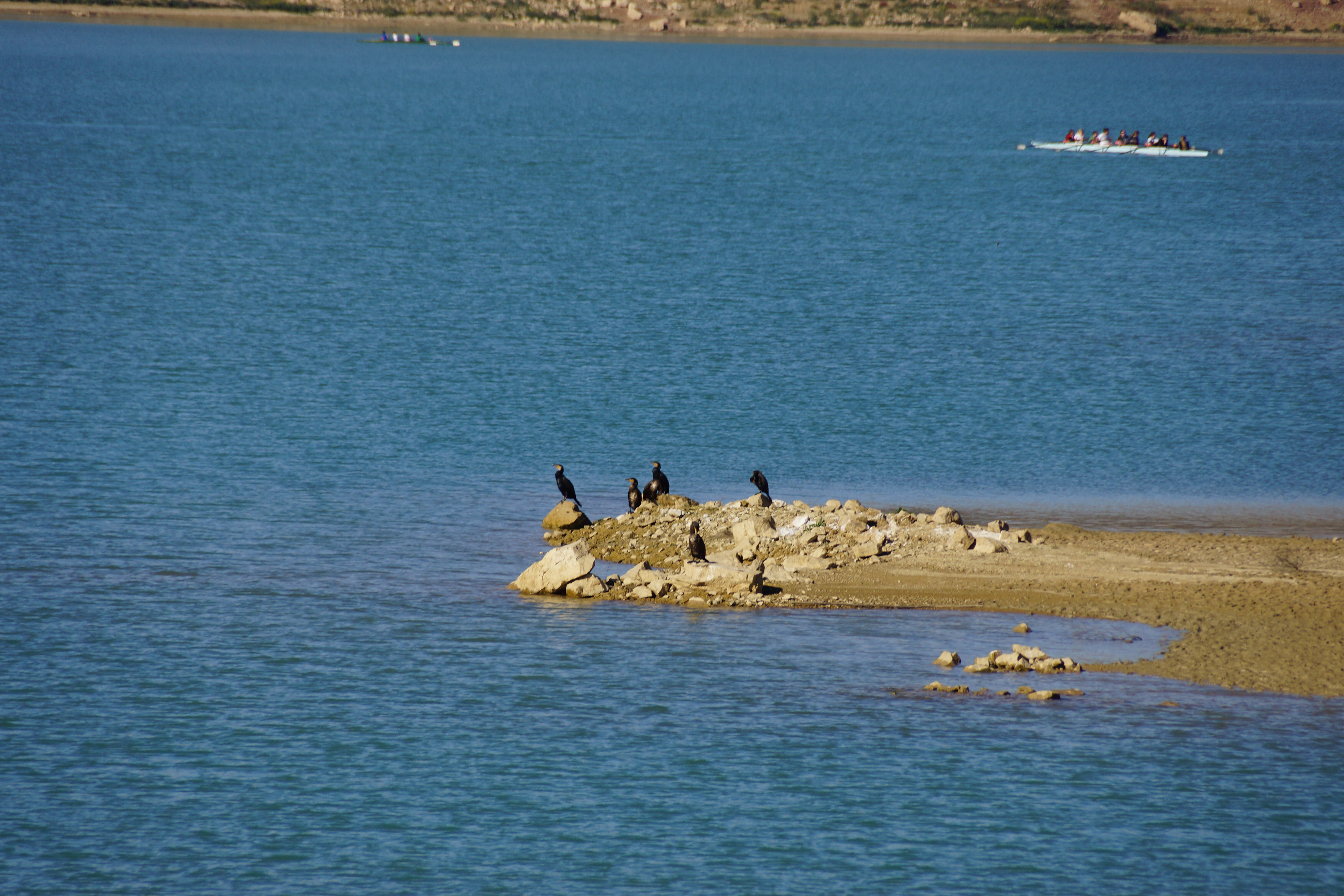 Lake activities